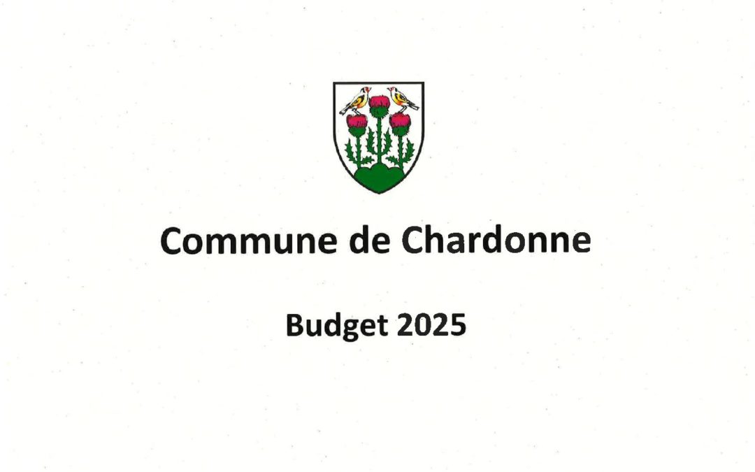 Préavis n° 07/2024-2025 sur le budget communal pour 2025